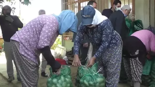 Ödemiş'te TMO'nun patates alımları sürüyor Ödemiş'te TMO'nun patates alımları sürüyor