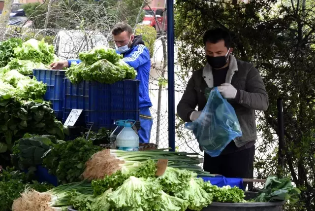Pendik'te üreticiye pazar yeri desteği Pendik'te üreticiye pazar yeri desteği