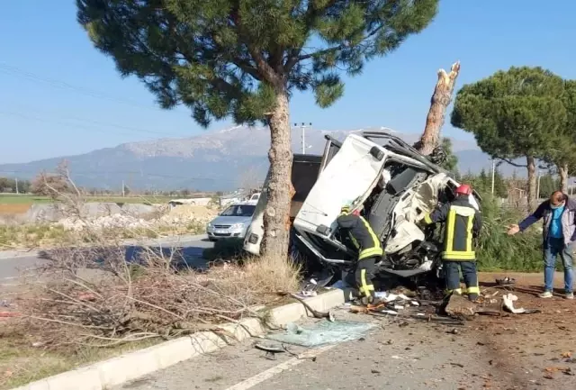 Refüjdeki ağacı devirdi, hurdaya dönen kamyonetten yaralı kurtuldu