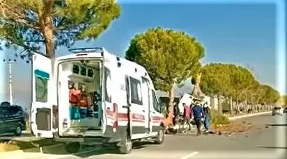 Refüjdeki ağacı devirdi, hurdaya dönen kamyonetten yaralı kurtuldu Refüjdeki ağacı devirdi, hurdaya dönen kamyonetten yaralı kurtuldu