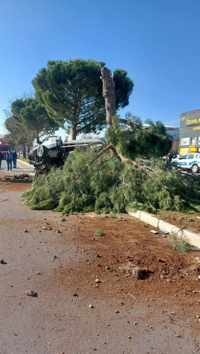 Refüjdeki ağacı devirdi, hurdaya dönen kamyonetten yaralı kurtuldu