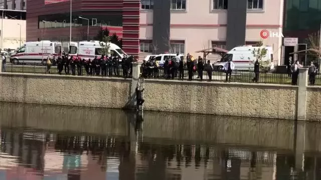 Atladığı sudan çıkartılmak için dakikalarca ikna edilmeye çalışıldı Atladığı sudan çıkartılmak için dakikalarca ikna edilmeye çalışıldı