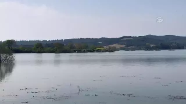 Adana'da balık tutmak için baraj gölüne açıldıkları tekne batan 2 kişiden biri boğuldu Adana'da balık tutmak için baraj gölüne açıldıkları tekne batan 2 kişiden biri boğuldu