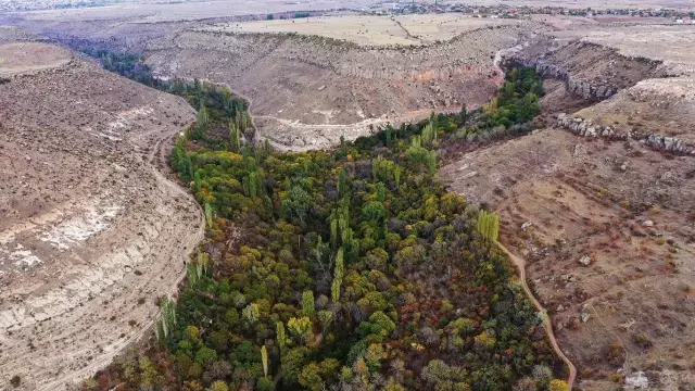 Kayseri'ye gelen yabancı turist sayısı arttı Kayseri'ye gelen yabancı turist sayısı arttı