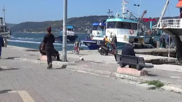 ÇANAKKALE'DE VAKA SAYISI 21 KAT ARTTI ÇANAKKALE'DE VAKA SAYISI 21 KAT ARTTI