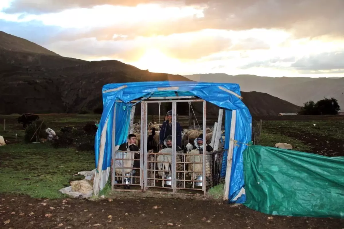 Erzincan'da sahur sofralarının vazgeçilmezi 'tulum peyniri'