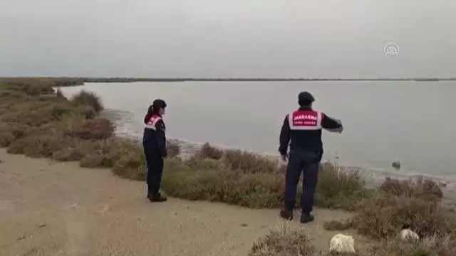 Jandarma ekipleri Göksu Deltası'nda çevre denetimi yaptı Jandarma ekipleri Göksu Deltası'nda çevre denetimi yaptı