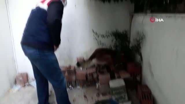 Jandarmadan 3 ilçede zehir baskını: 18 gözaltı