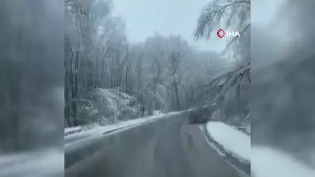 - Kara kış Polonya ve Çekya'yı esir aldı- Çekya'da 25 yılın ardından Nisan'da kar yağdı - Kara kış Polonya ve Çekya'yı esir aldı- Çekya'da 25 yılın ardından Nisan'da kar yağdı