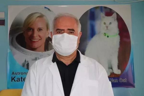 Son dakika haberi! KATE RUBİNS'İN VAN KEDİSİ HAZIR Son dakika haberi! KATE RUBİNS'İN VAN KEDİSİ HAZIR