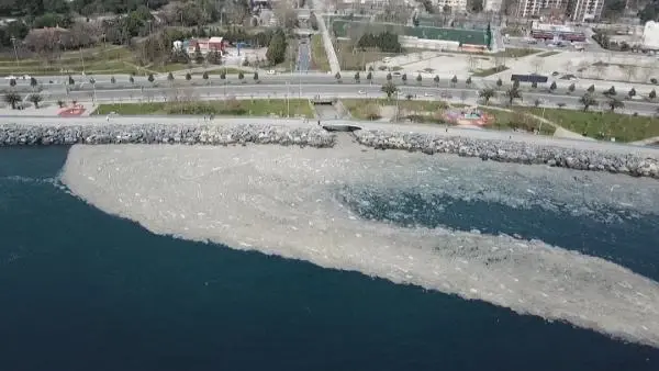 Son dakika haberi: MARMARA'NIN DİBİNİ TEHDİT ETMEYE BAŞLADI; 'SALYA' SU ALTI KAMERASIYLA GÖRÜNTÜLENDİ Son dakika haberi: MARMARA'NIN DİBİNİ TEHDİT ETMEYE BAŞLADI; 'SALYA' SU ALTI KAMERASIYLA GÖRÜNTÜLENDİ