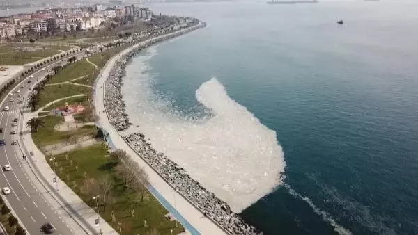 Son dakika haberi: MARMARA'NIN DİBİNİ TEHDİT ETMEYE BAŞLADI; 'SALYA' SU ALTI KAMERASIYLA GÖRÜNTÜLENDİ Son dakika haberi: MARMARA'NIN DİBİNİ TEHDİT ETMEYE BAŞLADI; 'SALYA' SU ALTI KAMERASIYLA GÖRÜNTÜLENDİ