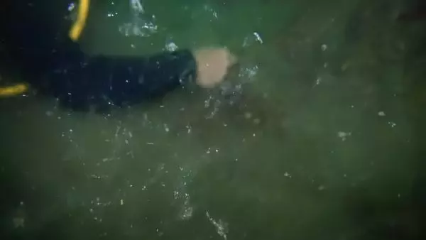 Son dakika haberi: MARMARA'NIN DİBİNİ TEHDİT ETMEYE BAŞLADI; 'SALYA' SU ALTI KAMERASIYLA GÖRÜNTÜLENDİ Son dakika haberi: MARMARA'NIN DİBİNİ TEHDİT ETMEYE BAŞLADI; 'SALYA' SU ALTI KAMERASIYLA GÖRÜNTÜLENDİ
