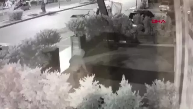 Son dakika! MERSİN İŞ YERİ ÖNÜNDEKİ HALININ ÇALINMASI GÜVENLİK KAMERASINDA Son dakika! MERSİN İŞ YERİ ÖNÜNDEKİ HALININ ÇALINMASI GÜVENLİK KAMERASINDA