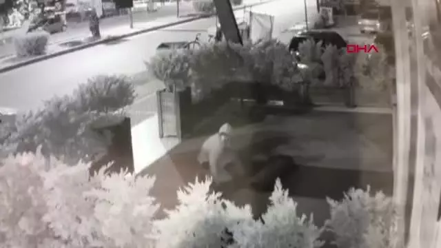 Son dakika! MERSİN İŞ YERİ ÖNÜNDEKİ HALININ ÇALINMASI GÜVENLİK KAMERASINDA Son dakika! MERSİN İŞ YERİ ÖNÜNDEKİ HALININ ÇALINMASI GÜVENLİK KAMERASINDA