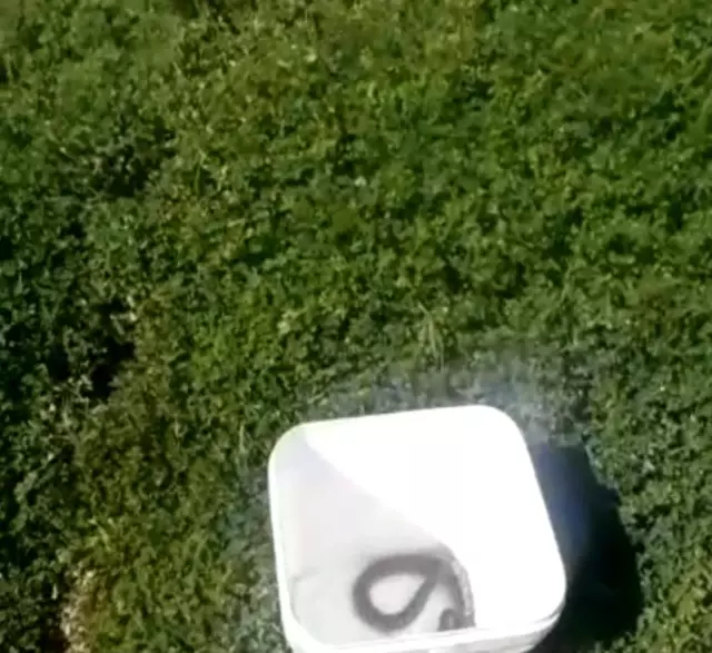 Otomobil içindeki yılan doğaya bırakıldı Otomobil içindeki yılan doğaya bırakıldı