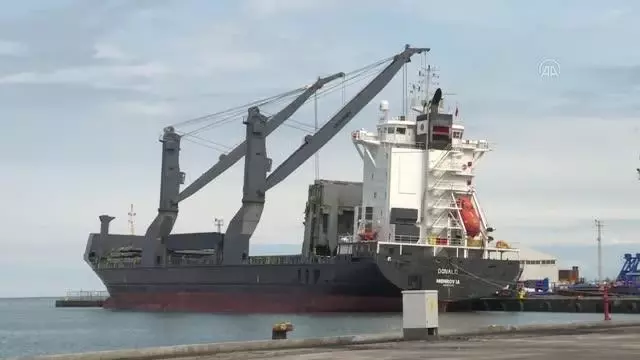 Rusya'da hizmet verecek dev konteyner vinçlerin kurulumu Trabzon Limanı'nda yapılacak