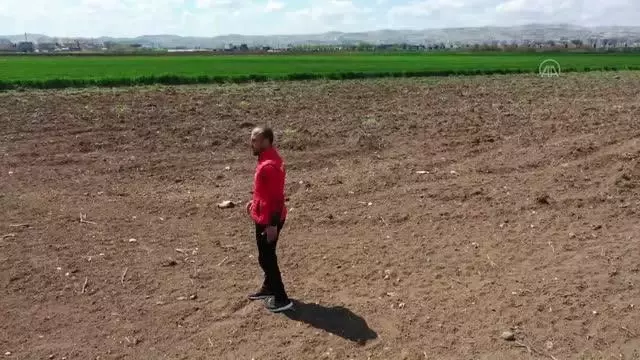 ŞANLIURFA - Milli atlet Hüseyin Can, olimpiyat hedefi için ter döküyor ŞANLIURFA - Milli atlet Hüseyin Can, olimpiyat hedefi için ter döküyor