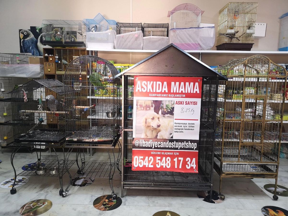 Sokak hayvanları için esnaftan 'askıda mama' projesi