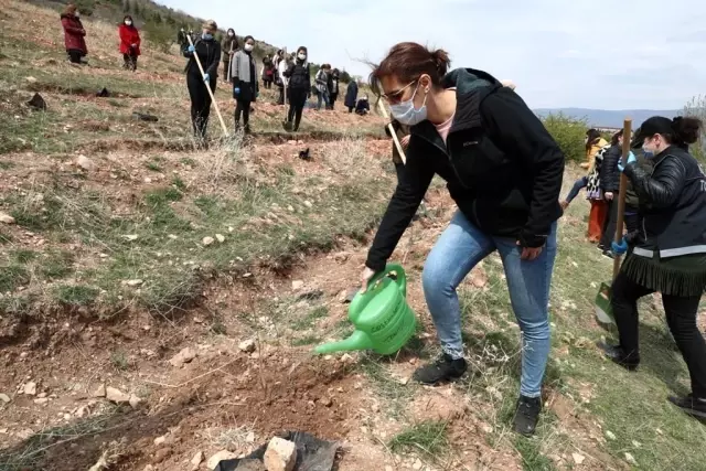 Tokat'ta, 'En İyi Narkotik Polisi Anne' Projesi kapsamında fidanlar toprakla buluştu Tokat'ta, 'En İyi Narkotik Polisi Anne' Projesi kapsamında fidanlar toprakla buluştu