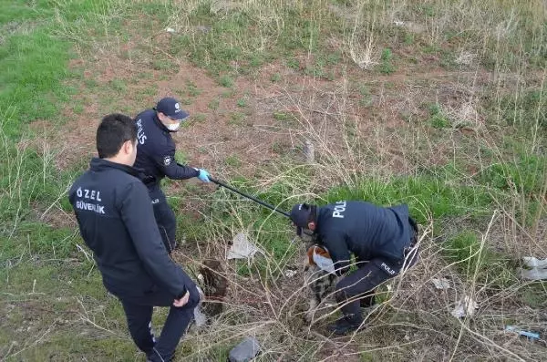 Son dakika haberleri... Yaralı köpeği veterinere 'HAYDİ' polisleri yetiştirdi Son dakika haberleri... Yaralı köpeği veterinere 'HAYDİ' polisleri yetiştirdi