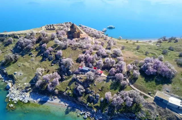 Badem çiçekleriyle süslenen Akdamar Adası'nda görsel şölen Badem çiçekleriyle süslenen Akdamar Adası'nda görsel şölen