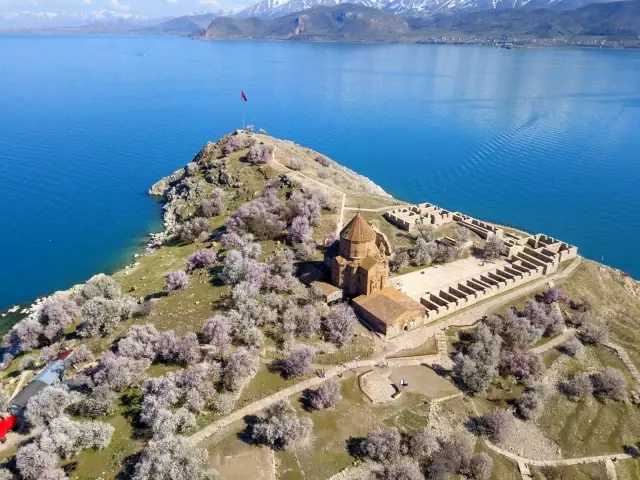 Badem çiçekleriyle süslenen Akdamar Adası'nda görsel şölen Badem çiçekleriyle süslenen Akdamar Adası'nda görsel şölen