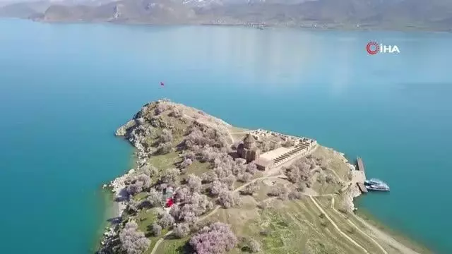 Badem çiçekleriyle süslenen Akdamar Adası'nda görsel şölen Badem çiçekleriyle süslenen Akdamar Adası'nda görsel şölen