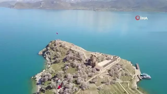 Badem çiçekleriyle süslenen Akdamar Adası'nda görsel şölen Badem çiçekleriyle süslenen Akdamar Adası'nda görsel şölen