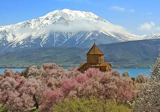 Badem çiçekleriyle süslenen Akdamar Adası'nda görsel şölen Badem çiçekleriyle süslenen Akdamar Adası'nda görsel şölen