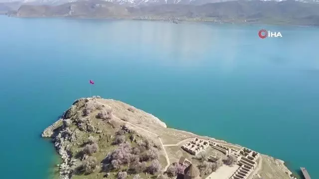 Badem çiçekleriyle süslenen Akdamar Adası'nda görsel şölen Badem çiçekleriyle süslenen Akdamar Adası'nda görsel şölen