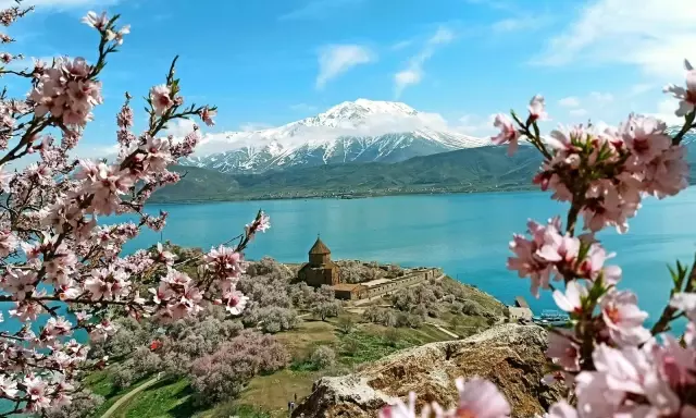 Badem çiçekleriyle süslenen Akdamar Adası'nda görsel şölen Badem çiçekleriyle süslenen Akdamar Adası'nda görsel şölen