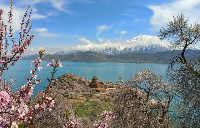 Badem çiçekleriyle süslenen Akdamar Adası'nda görsel şölen Badem çiçekleriyle süslenen Akdamar Adası'nda görsel şölen