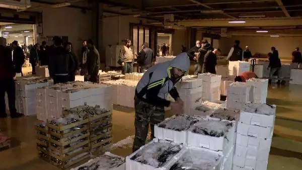 Balık sezonu kapandı, sezonun son balıkları halde Balık sezonu kapandı, sezonun son balıkları halde