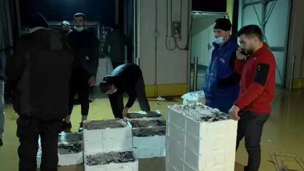 Balık sezonu kapandı, sezonun son balıkları halde Balık sezonu kapandı, sezonun son balıkları halde