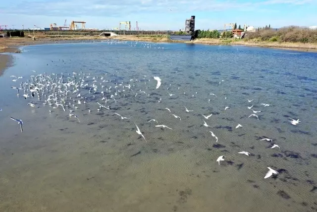 Başkan Oral: Her alanda olduğu gibi turizmde de ön plana çıkacağız