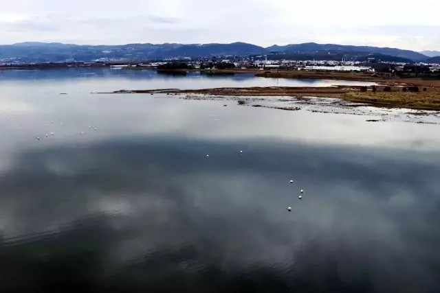 Başkan Oral: Her alanda olduğu gibi turizmde de ön plana çıkacağız