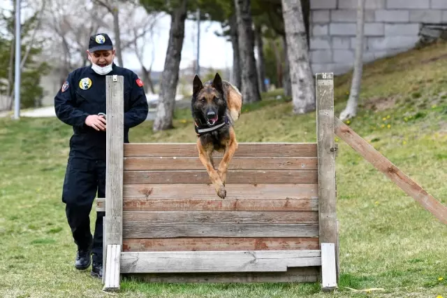 Başkent'in güvenlik okulu ANFA'da eğitimler yeniden başlıyor Başkent'in güvenlik okulu ANFA'da eğitimler yeniden başlıyor