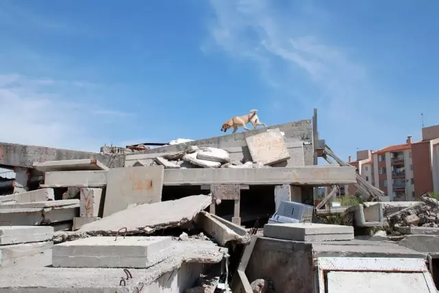 CEKUT, afete karşı göreve hazırlanıyor