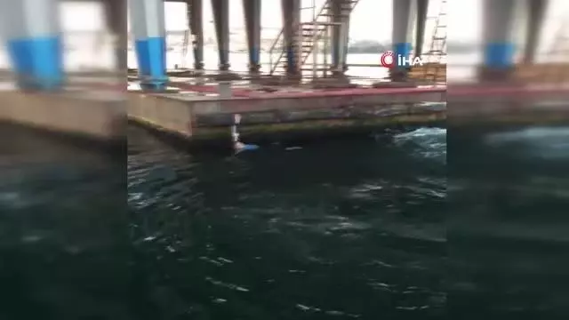 Denize atlayan şahsı yolcu teknesi kaptanı kurtardı.. O anlar kameraya yansıdı Denize atlayan şahsı yolcu teknesi kaptanı kurtardı.. O anlar kameraya yansıdı