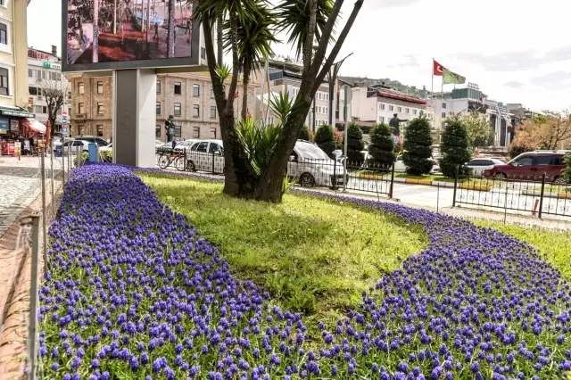 Giresun çiçeklerle renklendi Giresun çiçeklerle renklendi