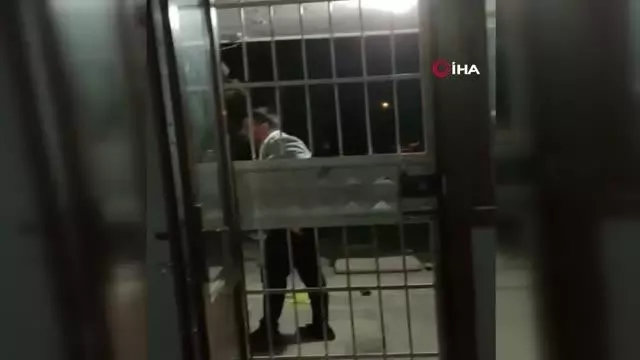 İranlı mimar kadın eşinden öldüresiye dayak yedi... O anlar kamerada İranlı mimar kadın eşinden öldüresiye dayak yedi... O anlar kamerada
