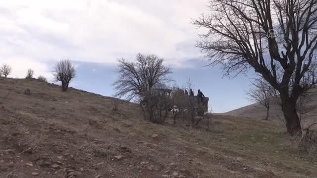 Kırsaldaki ahlat ağaçları aşılanarak 'Akçadağ armuduna' dönüştürülecek