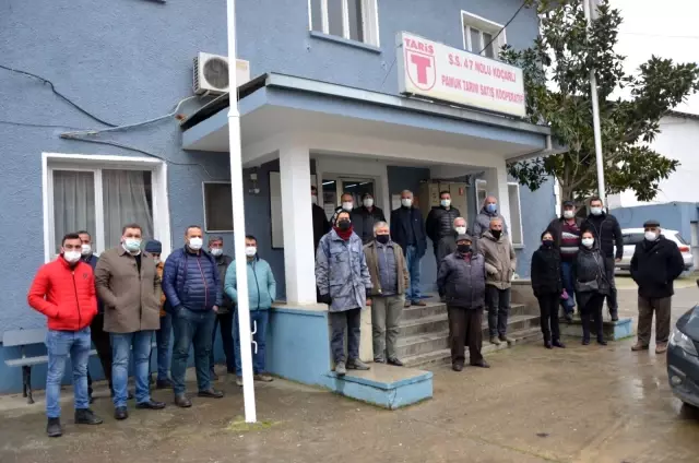 Koçarlı'da çiftçi TARİŞ kabusu yaşıyor Koçarlı'da çiftçi TARİŞ kabusu yaşıyor