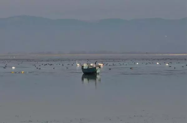 Manisa'nın 'Kuş Cenneti'nde çoğunluk sakar mekelerin