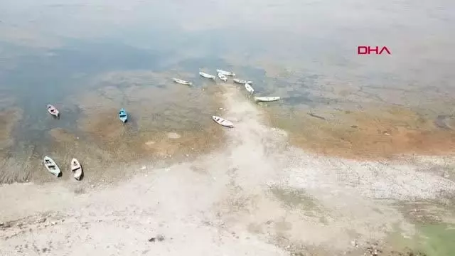 Manisa'nın 'Kuş Cenneti'nde çoğunluk sakar mekelerin