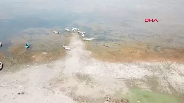 Manisa'nın 'Kuş Cenneti'nde çoğunluk sakar mekelerin