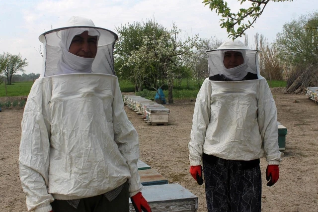 Manyas'ta arılar zehirli kimyasal atık su yüzünden telef oldu