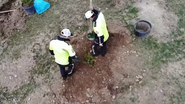 Polisler şehit meslektaşlarının anısına fidan dikti Polisler şehit meslektaşlarının anısına fidan dikti