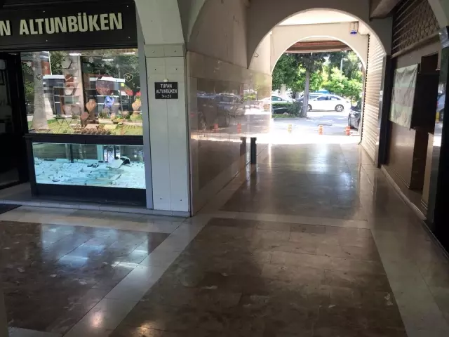 Yavrusuna saldıran 3 köpeği böyle kovaladı Yavrusuna saldıran 3 köpeği böyle kovaladı